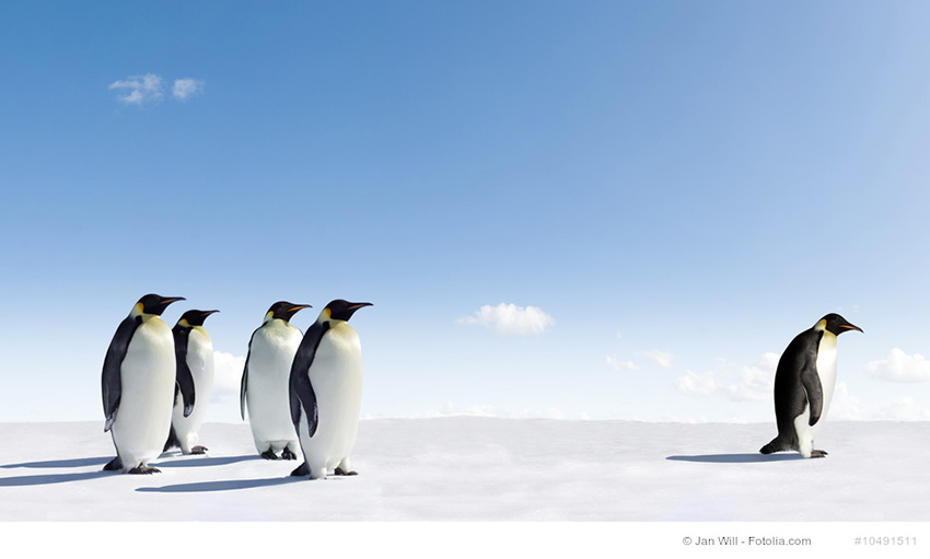 Penguin 4.0 Update: Echtzeit macht Content noch wichtiger für Ihre Firmenwebsites